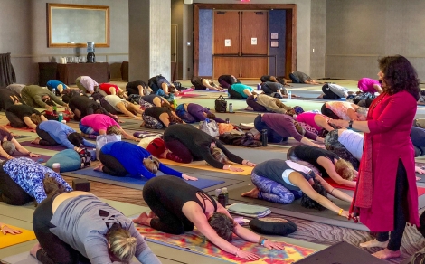 Rise Together Minneapolis Yoga Conference 2018