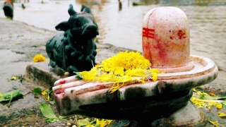 Maha Shiva Ratri_Indu Arora